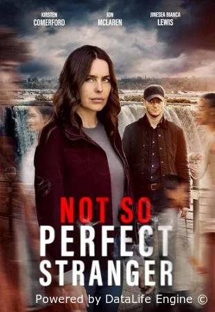 Опасный незнакомец смотреть онлайн (2025)